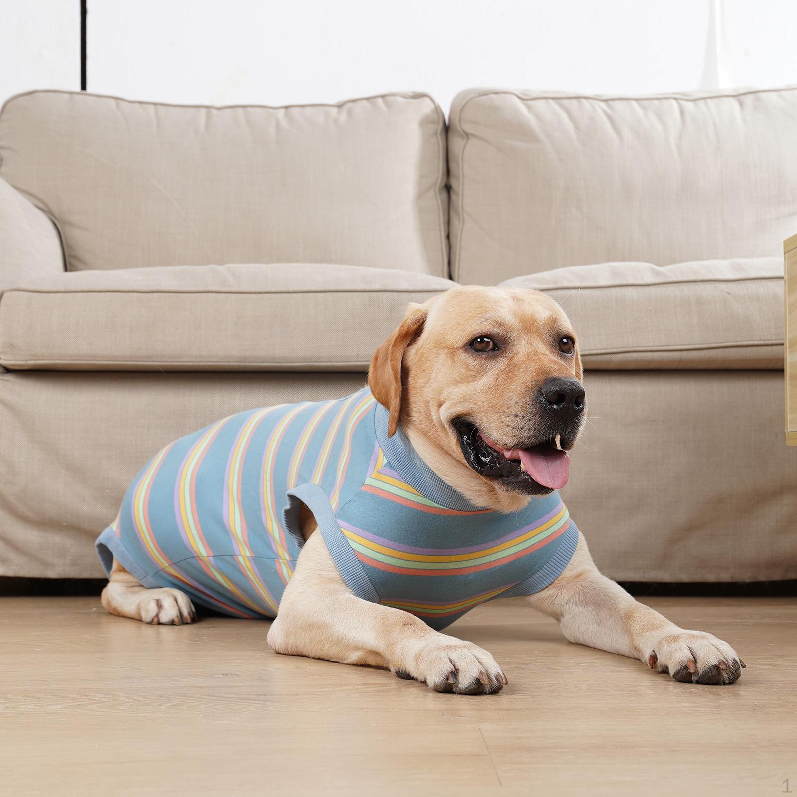 

Dog Clothes Pet Supplies Vest Physiological for Small Medium Large Dogs синій