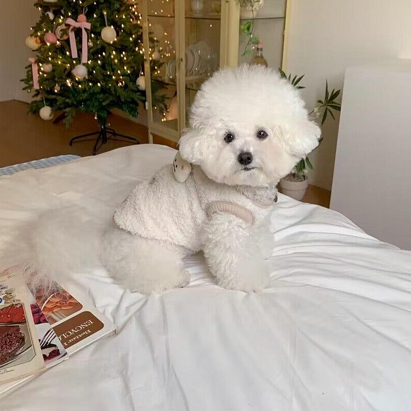 Pet Cotton Coat Autumn And Winter Schnauzer Teddy Bichon Pomeranian Cat And Dog Clothes Thickened And Warm