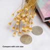 50 Bouquets Natural Real Small Dried Flowers Bouquets Brazilian Lucky Flowers Preserved Flowers Home Decoration Dried Flower