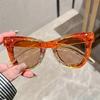 Shining Eye Y2K Rhinestone Cat Eye Fashion Sunglasses For Women Men Bling Summer Beach Sun Shades Costume Party Club Accessory