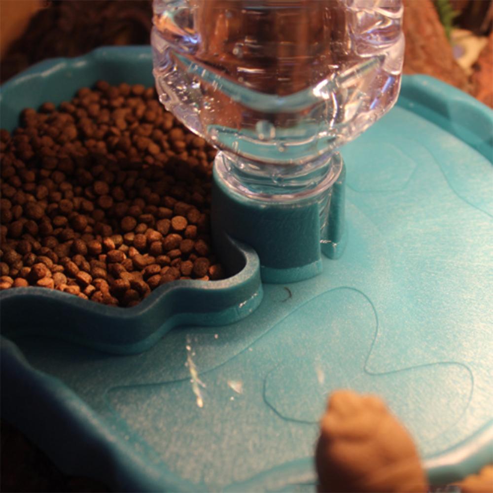 1 Stück - Reptilienfutterspender, Schildkrötenfutternapf, Kleintiernapf für Reptilien und Amphibien, Abnehmbar, Leicht zu reinigen, Kleintierbedarf