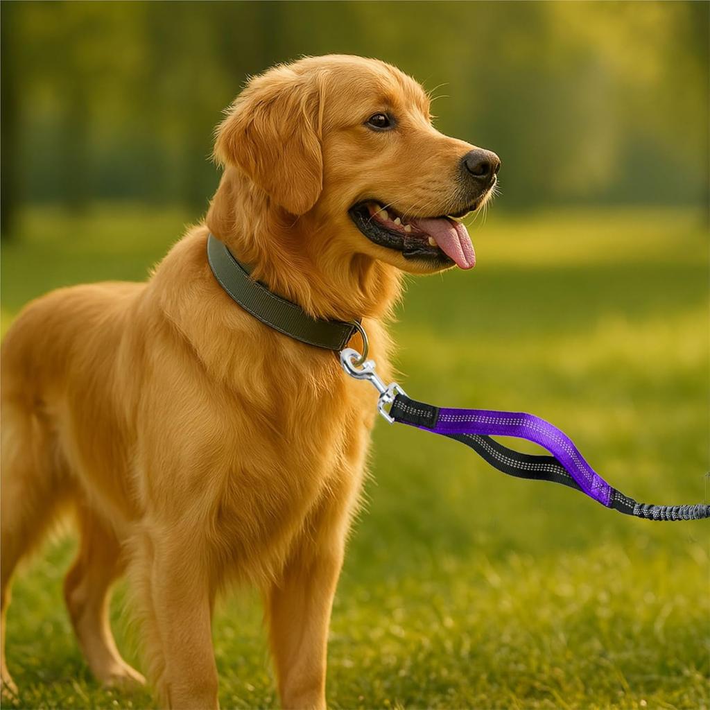 Hands-Free Dog Leash for Dogs up to 130 lbs – Heavy-Duty, Shock-Absorbing Bungee Leash with Zipper Pouch, Dual Padded Handles & Adjustable Waist