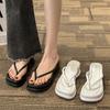 2025 summer new heightened thick-soled beach cool slippers niche fashion trend pinch flip-flops women's shoes