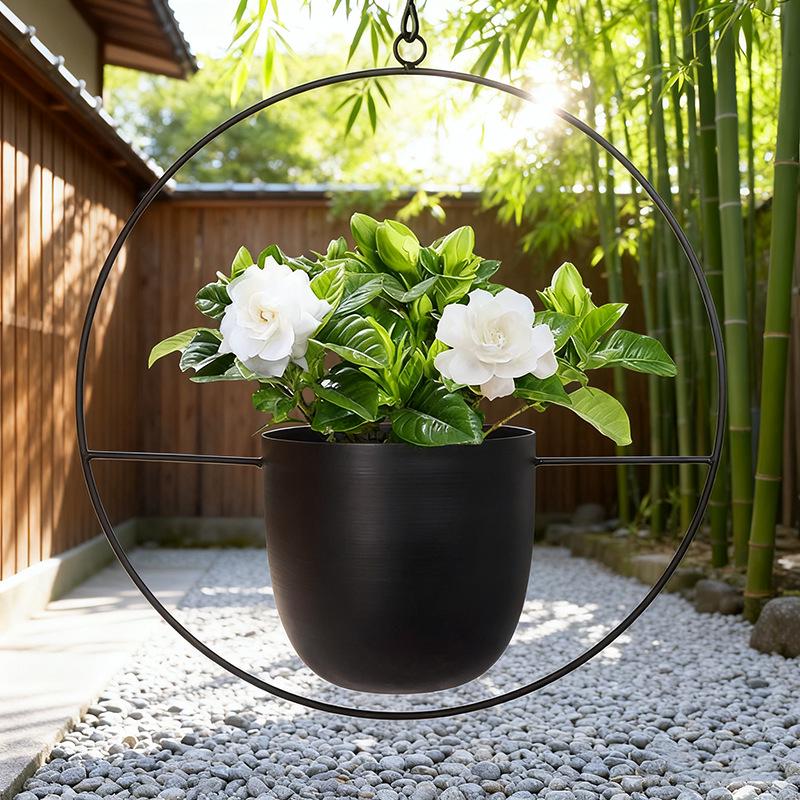 European Wrought Iron Hanging Hydroponic Planter for Spider Plants