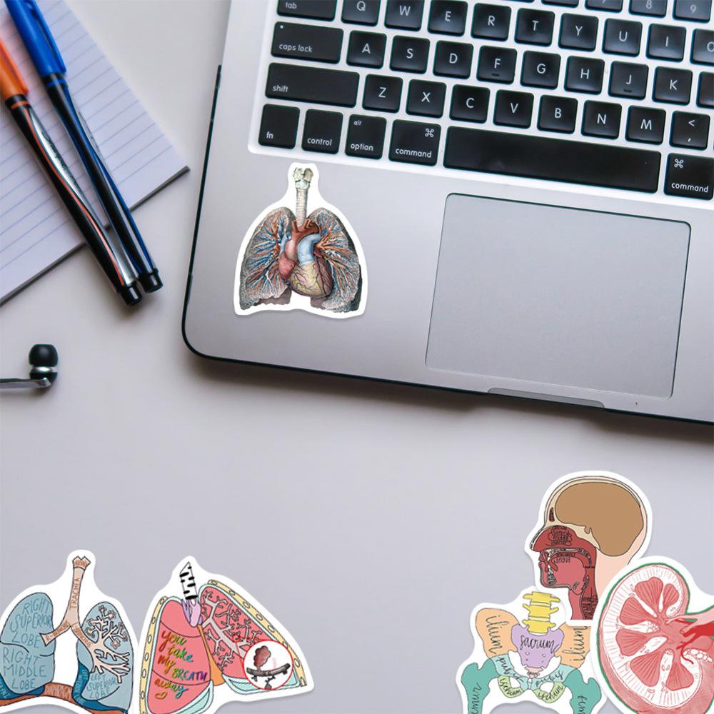 50pcs Human Anatomy Body Physiology Stickers Temporar Graffiti Luggage Skateboard Laptop Guitar Sticker Decals