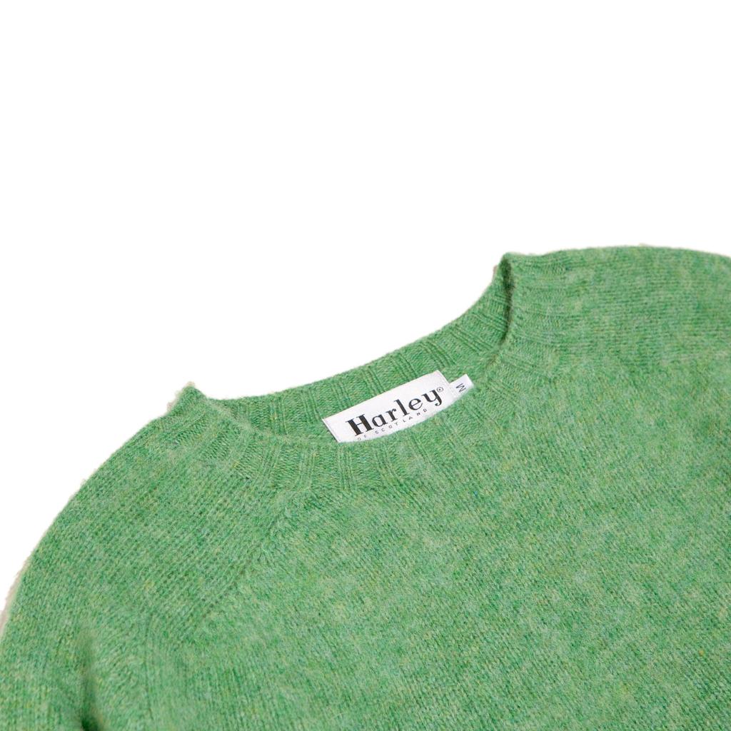 Halliobeuseukoteullaendeu Shaggy Dog Crew Neck Sweater - Mint La