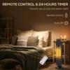 45 Degrees Oscillating Ceramic Space Heater, with Remote - Black