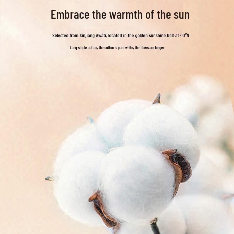 LANGSHA Men's Pure Cotton Long Sleeve Round Neck Base Layer T-Shirt