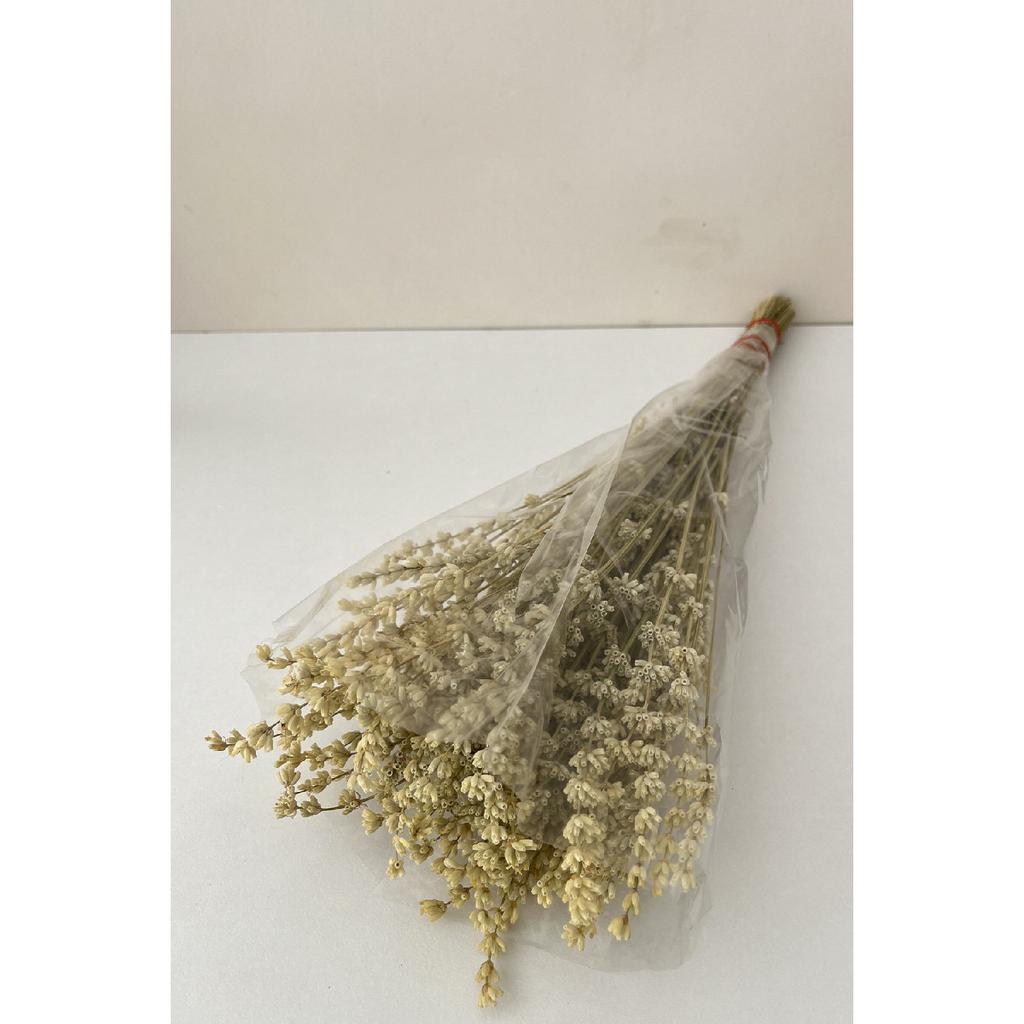 Rosa Lavendel Brautstrauß Arrangement Blumenornament Vase Magnet Geschenk Trockenblume