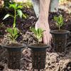 25-100x Hydroponic Pot Net Cups Garden Soilless Cultivation Slotted Mesh Net Cup Plastic Plant Rooter Grown Baskets Nursery Pots