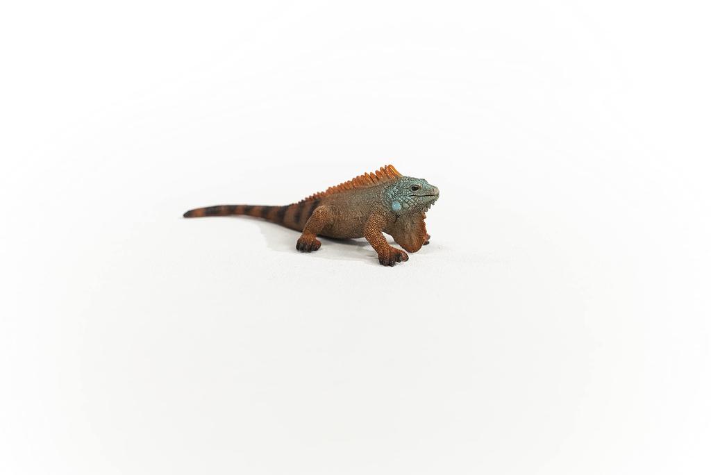 Schleich Wildlife Iguana 14854