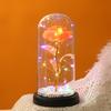 Eternal Glass Cover Luminous Roses, Valentine's Day Gift Crystal Flowers, Night Light Tabletop Ornament