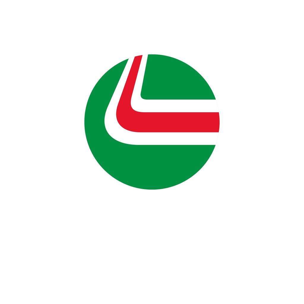 Castrol Unisex Adult Stack Sweatshirt