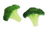 Speed Mao Realistic Broccoli Food Set of 8 Samples,