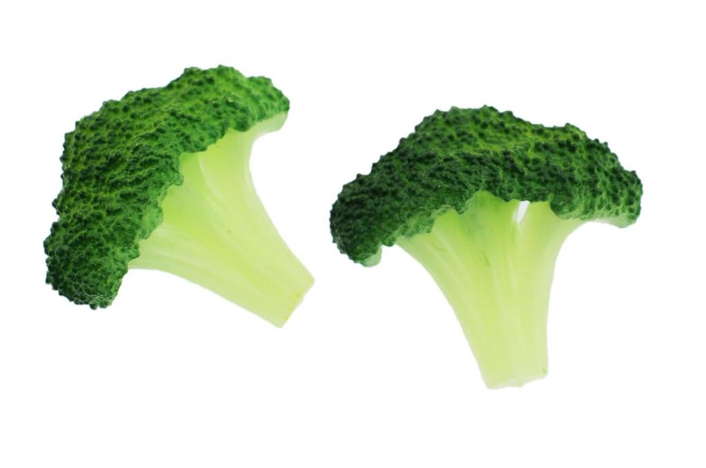 Speed Mao Realistic Broccoli Food Set of 8 Samples,