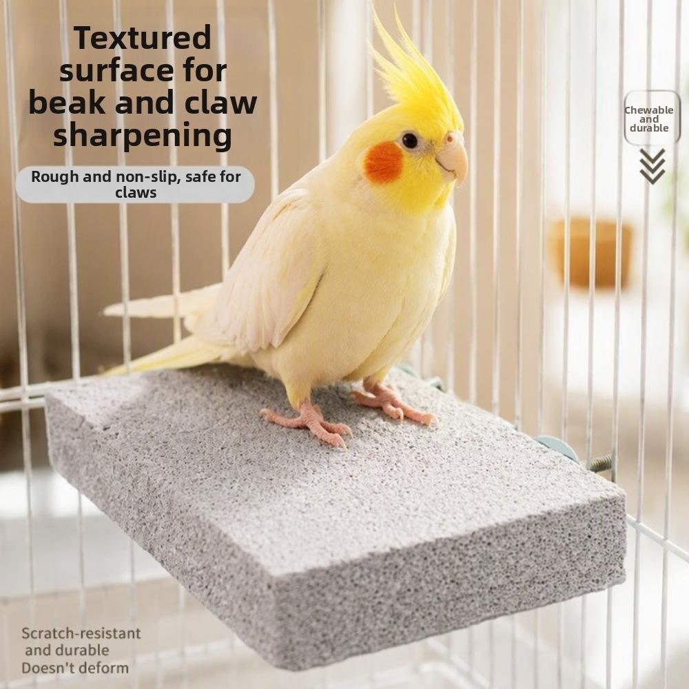 Washable Pumice Claw Grinding Platform Chew-Resistant Bird Resting Platform  Play Stand For Birds
