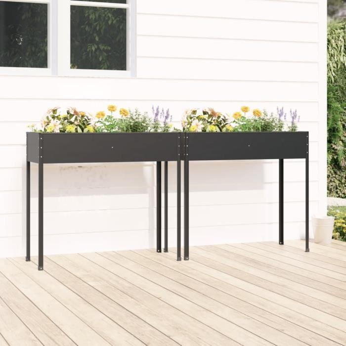 3154237 vidaXL Jardinières 2 pcs Anthracite Acier galvanisé