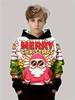 Kids Clothes Funny Christmas Hoodies Reindeer Santa Claus Long Sleeve Thin Sweatshirt for Boys Girls Xmas Gift for Children Top