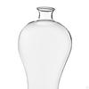 Elegant Glass Vase for Plant Propagation And Floral Display