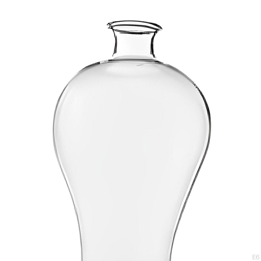 Elegant Glass Vase for Plant Propagation And Floral Display