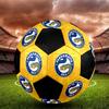 SIZE 5 Parramatta Eels Soccer Ball Colorful All Ages Machine Stitched PVC Competition Ready Durable High-Bounce