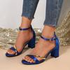 2025 New Low Heels Casual Shoes  Sexy Open Toe Summer Square Female Ankle Strap Cover Sandals