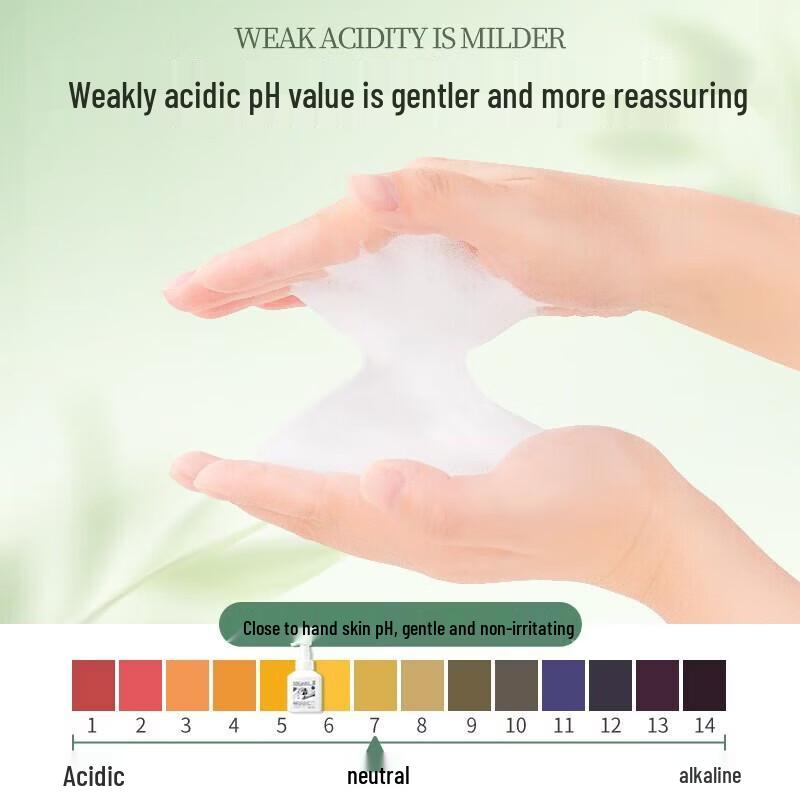 Fruit and Vegetable Garden Tea Scented Foaming Hand Soap