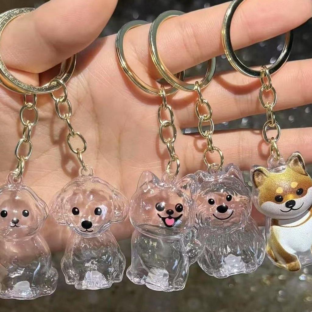 Pet Fur Memorial Pendant: Puppy & Kitten Keychain with Creative Storage Box.