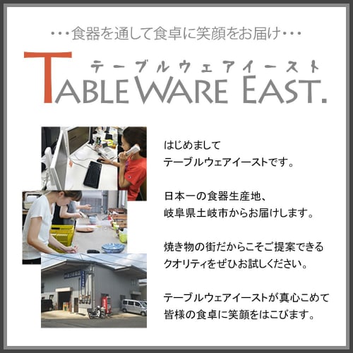 Tableware East Rounded Spoon, White, ts-00101