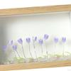 Cornice per Foto Fai da Te Luce Notturna 10,1x15,2cm Artigianato da Tavolo Ornamento Luminoso Laccato Resistente Decorativo