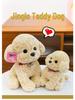 Peluche Cane Teddy Carino - Peluche per Matrimoni e Compleanni di Bambini