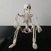 1/2pcs 40cm Joint Movable Fake Skull Skeleton for Halloween Ghost Festival Haunted House Home Bar Outdoor Decor