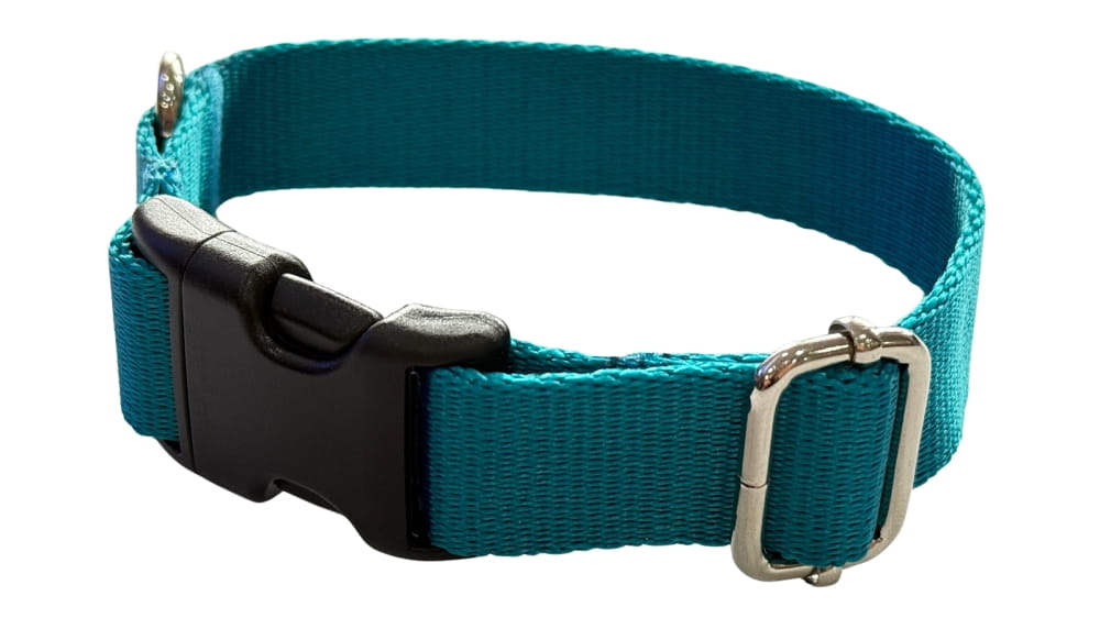 Dog Collar 2 Cm with Buckle Adjustable Turquoise Fasten Dog Collar 2 Cm with Buckle Adjustable Turquoise Fasten XS: 20-28cm