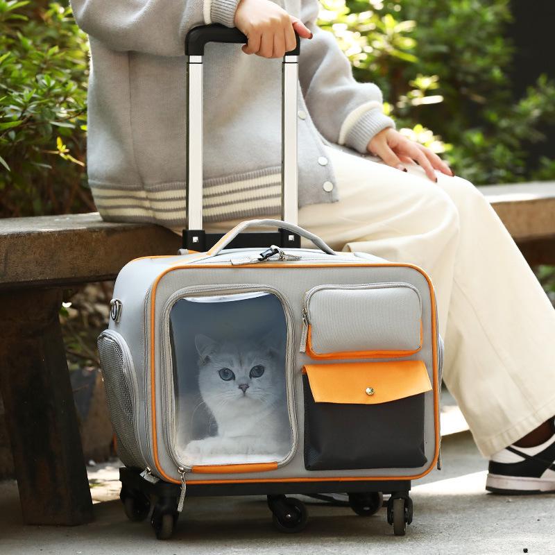 Portable Cat & Small Dog Travel Backpack: Outdoor Folding Pet Trolley Case