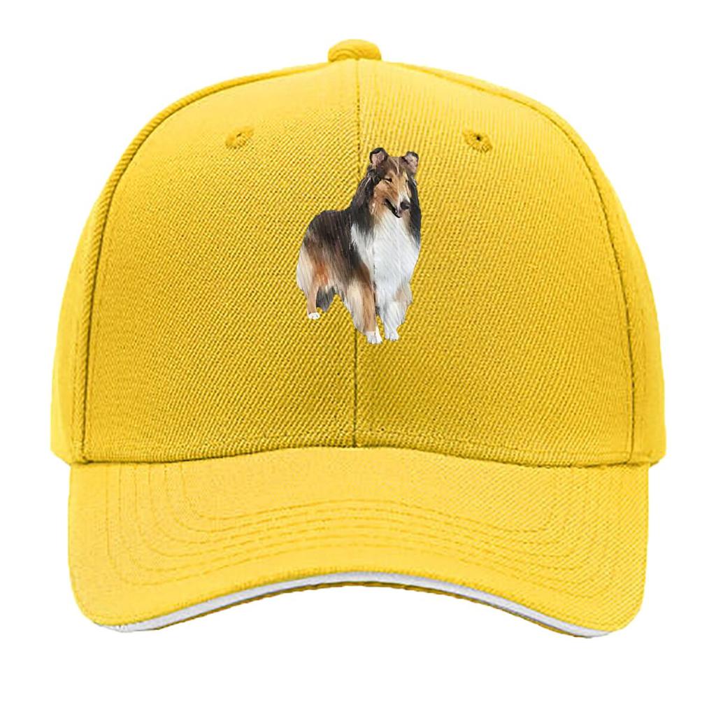 Collie Charm Dog Grace Hip Hop hat Fashion Outdoor Sports Sandwich Baseball Cap