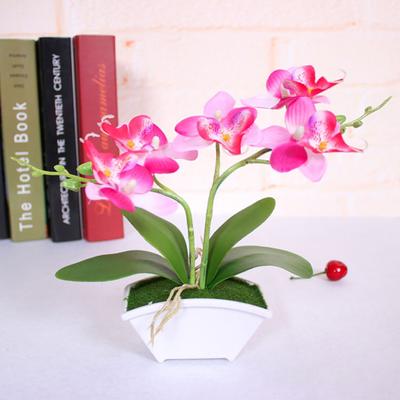 Falscher Phalaenopsis-Blumen-Bonsai Lebensecht Einzigartig Tragbar Echte Haptik Blume für Party