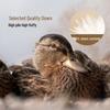 Yierya 90% Duck Down Winter Comforter