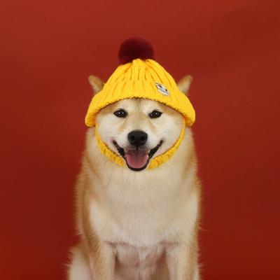 Gestrickte Hundemütze mit freiliegenden Pom-Ohren Winter-Katzenmütze Warme Strick-Welpenkleidung für kleine Hunde Weihnachts-Foto-Requisiten Winddicht