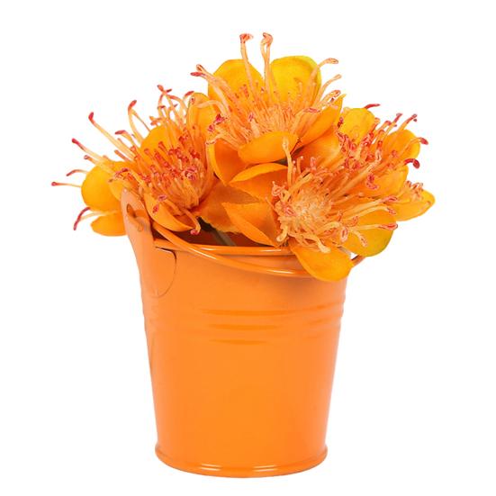 Cute Mini Solid Color Pail Bucket Wedding Party Candy Favours Home Hotel Decor