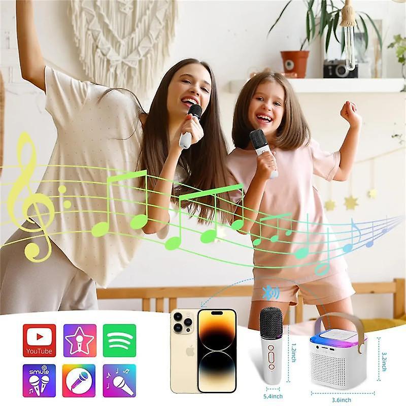 Y1 Tragbare Drahtlose Dual-Mikrofon Karaoke-Maschine Bluetooth 5.3 PA-Lautsprecher KTV DSP-System HIFI Stereo-Sound Home Familie Singen Mikrofon RGB LED-Lichter