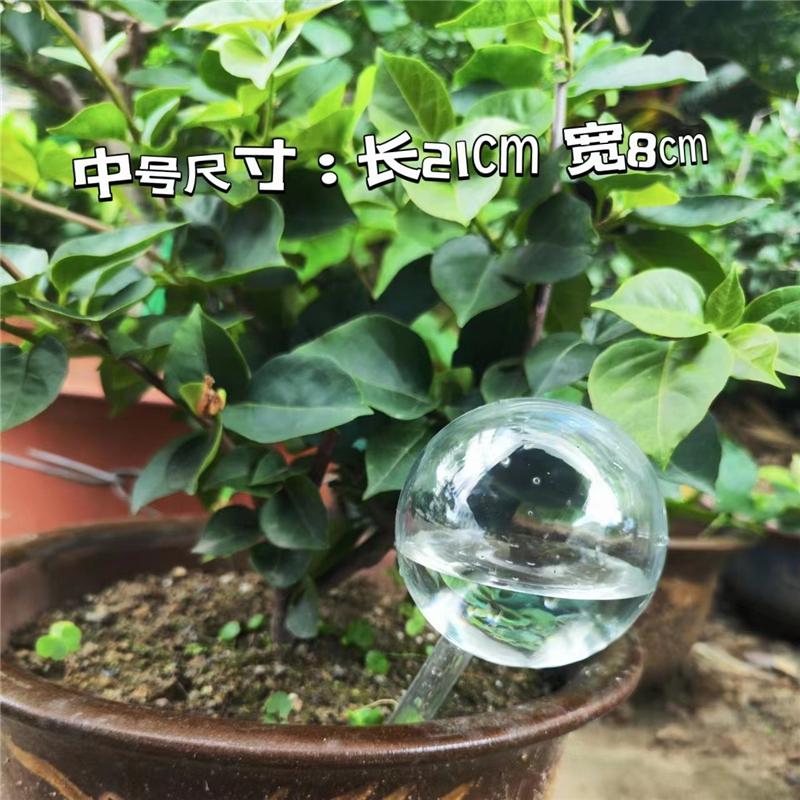 Automatic Plant Watering Bulbs Self Watering Globe Balls Water Device Drip Irrigation System for Garden Flower Plants Mom&Pea YQ