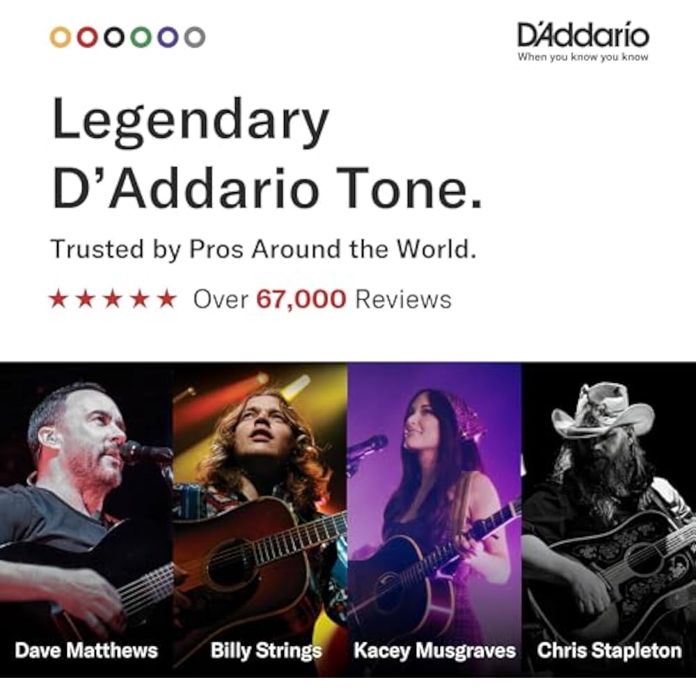 D'Addario Daddario Acoustic Guitar Strings Phosphor Bronze .009-.045 12 Strings Light EJ41 [Domes...