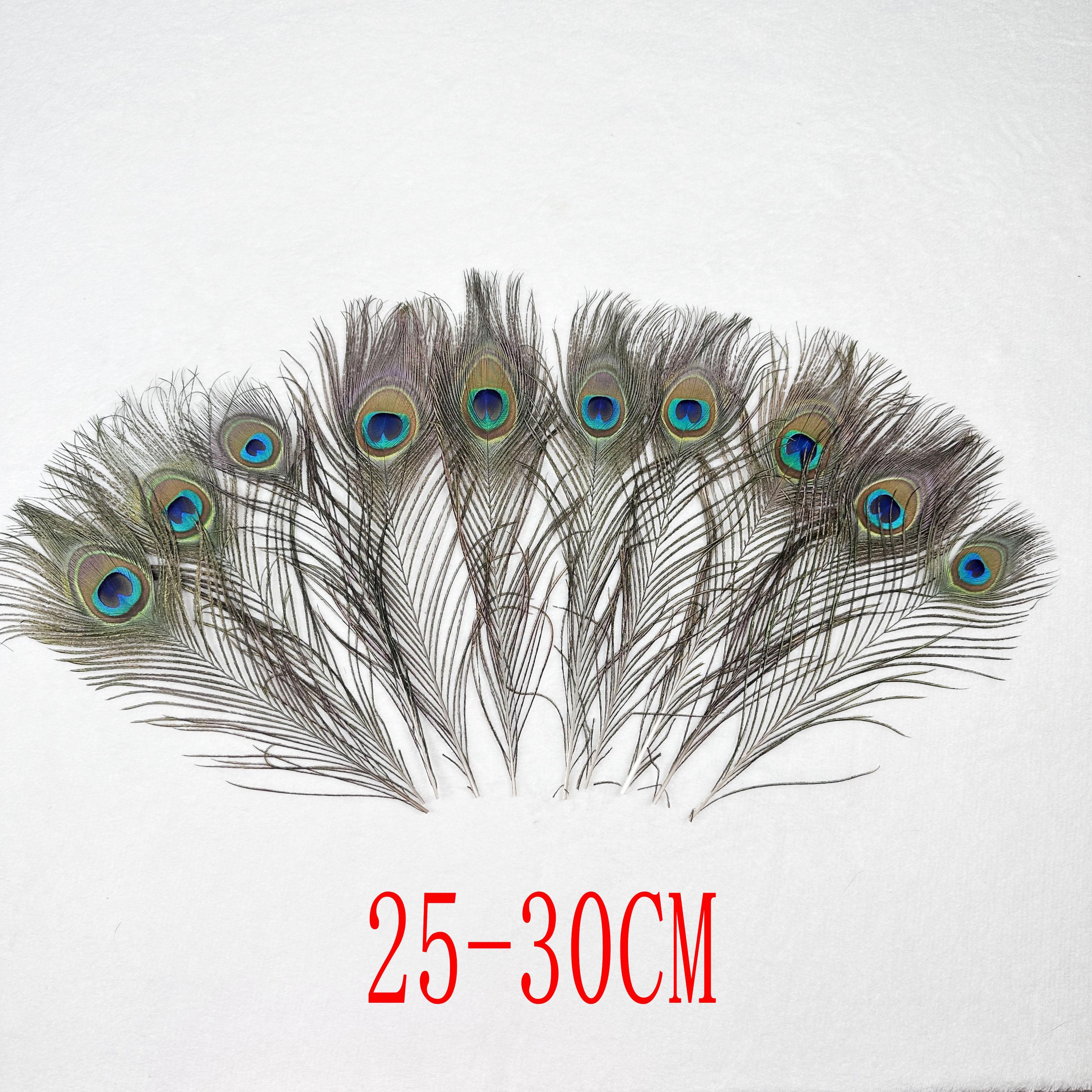 

50 шт./лот Натуральное перо павлина Длина 40-45 см 16-18 25-30 см Свадьба Целые Поделки Украшения Для Дома El Decoratio 50pcs