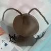 Cockroach 10cm Cotton Doll Clothes Suit Lovely Doll Clothes Outfit Funny Creative Doll Dress Up Set Doll Accessories
