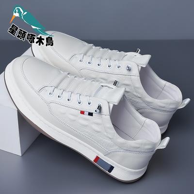 Autumn 2025 Leather Shoes Men's Leather Soft-soled Casual Shoes Men's Platform Trend Fashion Board Shoes