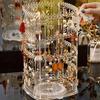 Multi Functional Rotating Earring Holder Ear Stud Necklace Display Stand Necklace Ear Clip Jewelry Large Capacity Storage Rack