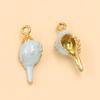 Ocean-Themed Stainless Steel Seashell Conch Pendant Jewelry Accessories