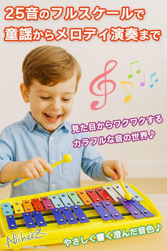 Nicheez Glockenspiel Metallophone for Percussion Instrument with Mallets and Colorful Educational Gift Kids, 25-Note Case, Toy, (Blue)