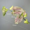 Tropical Plant Simulation Taro Leaf Plant Artificial Green Plant Leaves  Wedding Party Decor