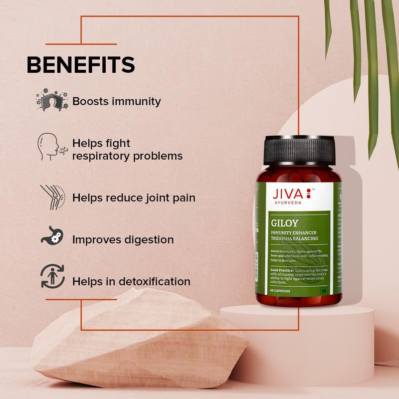 Jiva Giloy Herbal Capsules 60 Count X Pack of 4 | Natural Immunity Booster & Anti-Aging Supplement for Daily Wellness